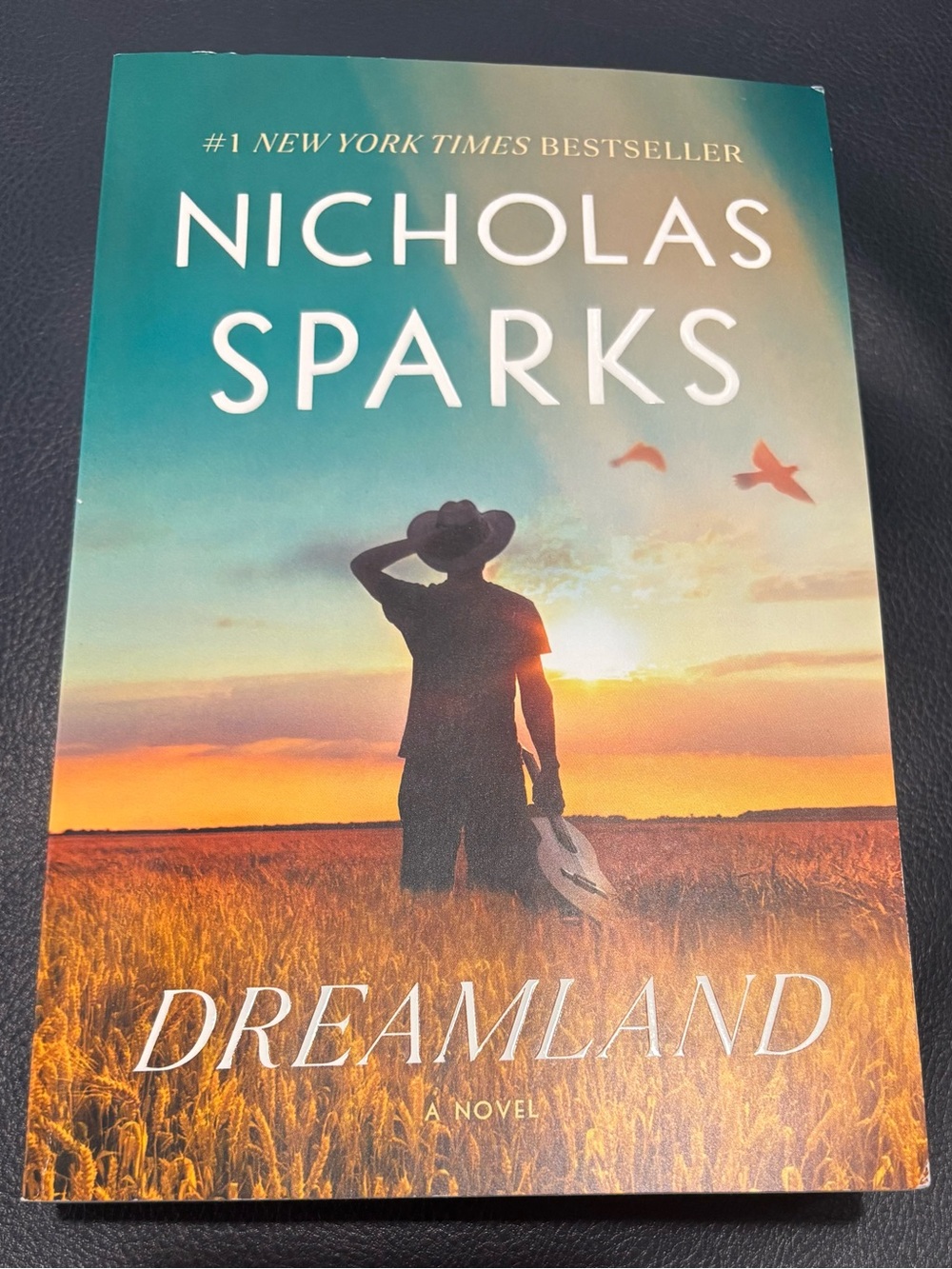Nicholas Sparks ‘Dreamland’ Paperback Novel; #1 NYT Bestseller